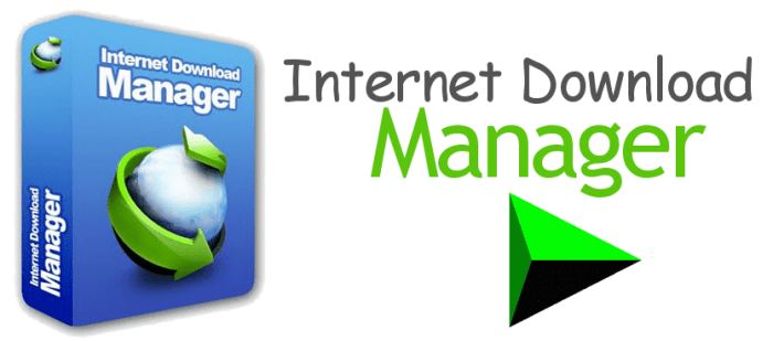 internet download manager coupon codes