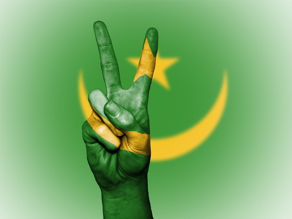 Mauritania services and security