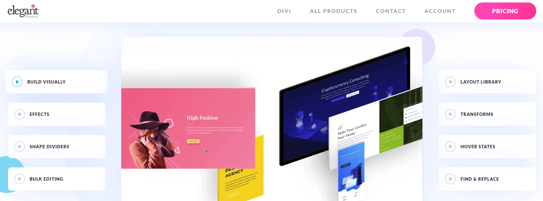 divi theme