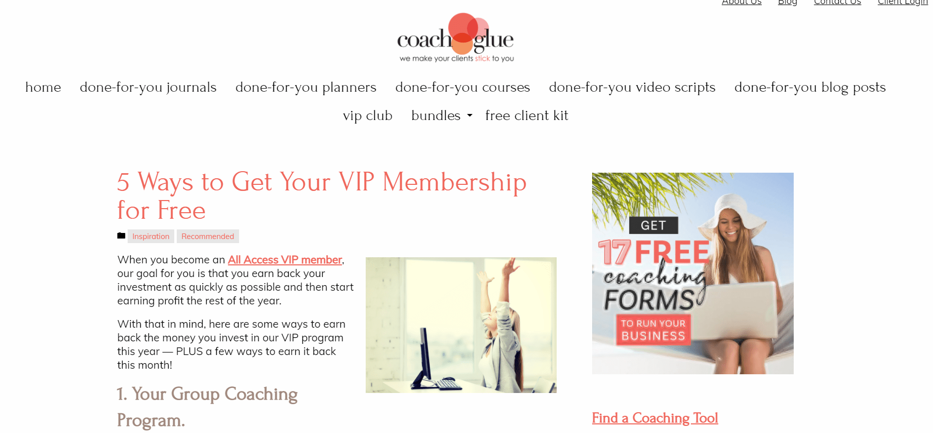 Coachglue VIP Membership