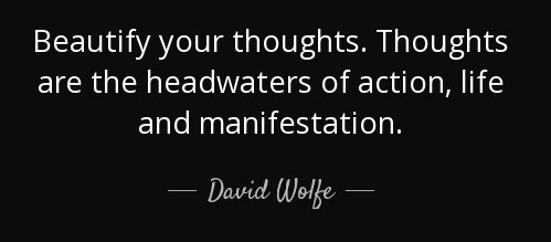 David Wolfe