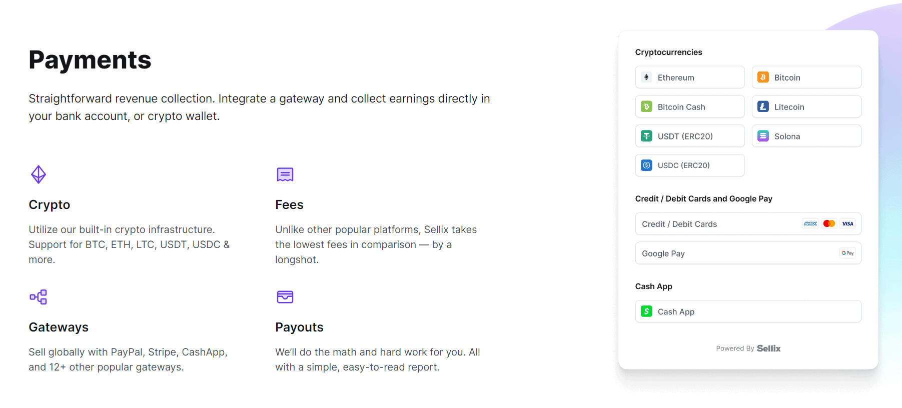 Sellix Payments Features