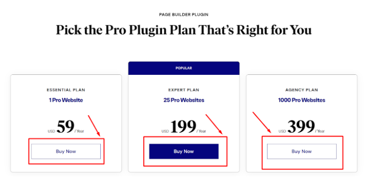 Pricing Plans of Elementor