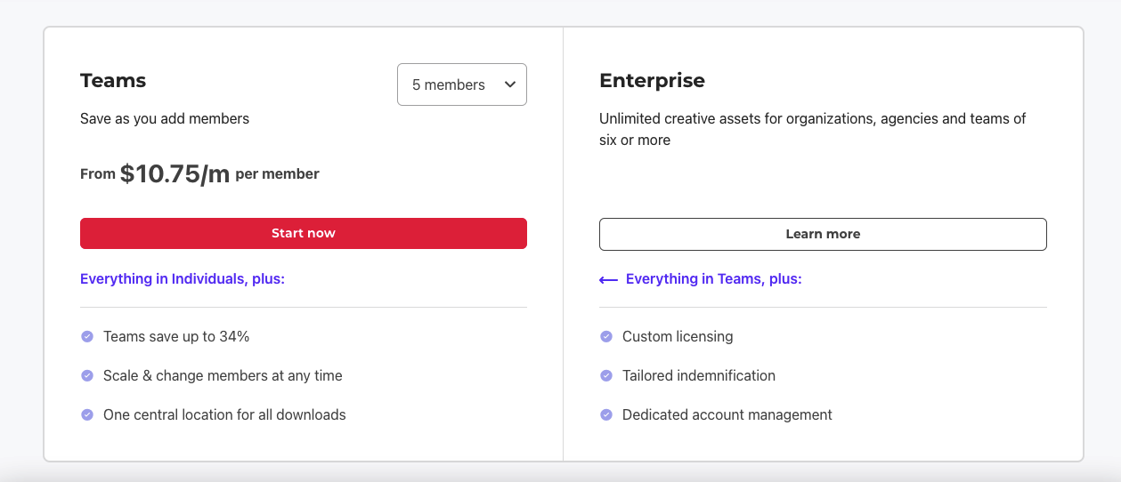 Envato Elements Teams & Enterprise Plans