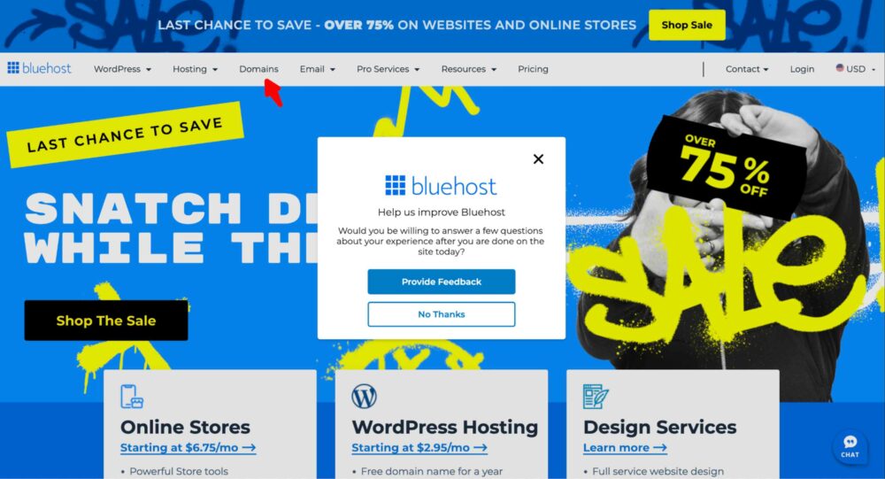 Bluehost Domains