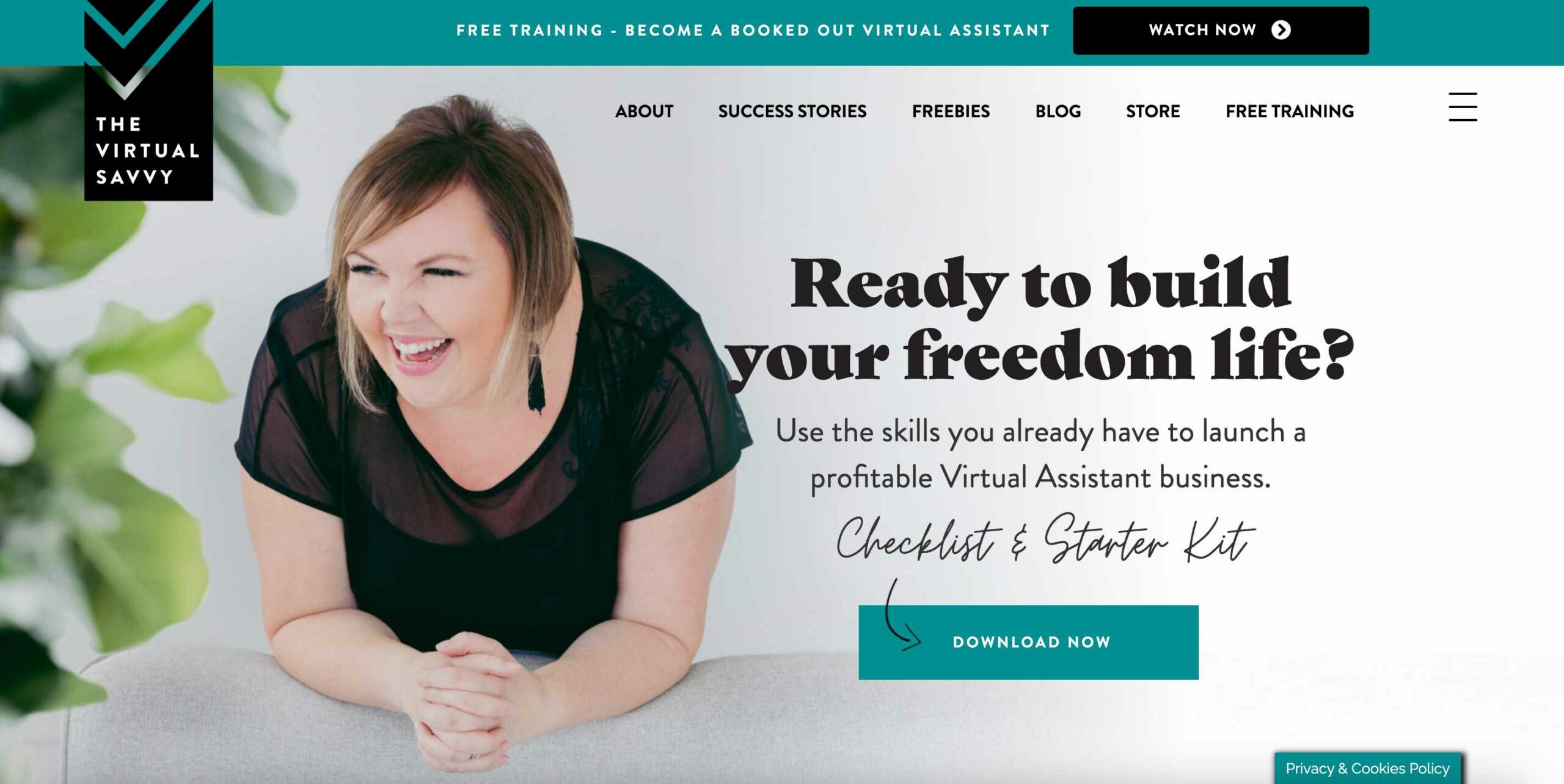 The SavvySystem- Best Virtual Assistant Courses