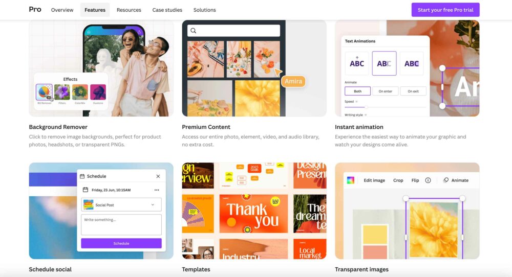 More Features of Canva Pro