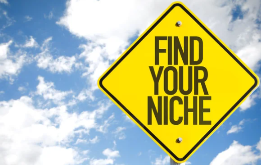 find niche