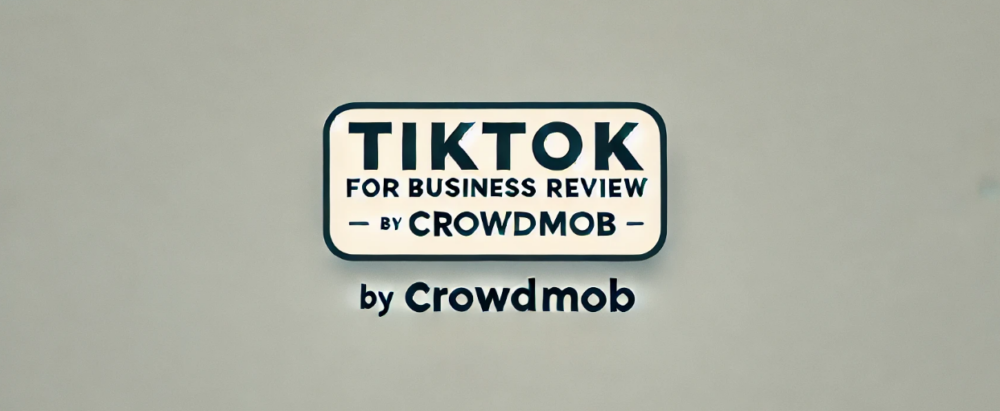 TikTok for Business Review