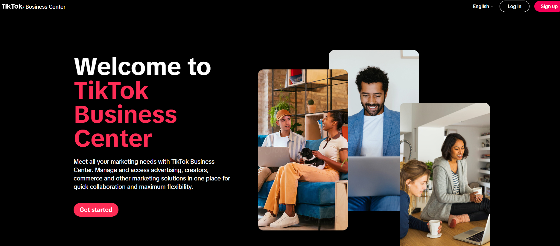 tiktok for business overview