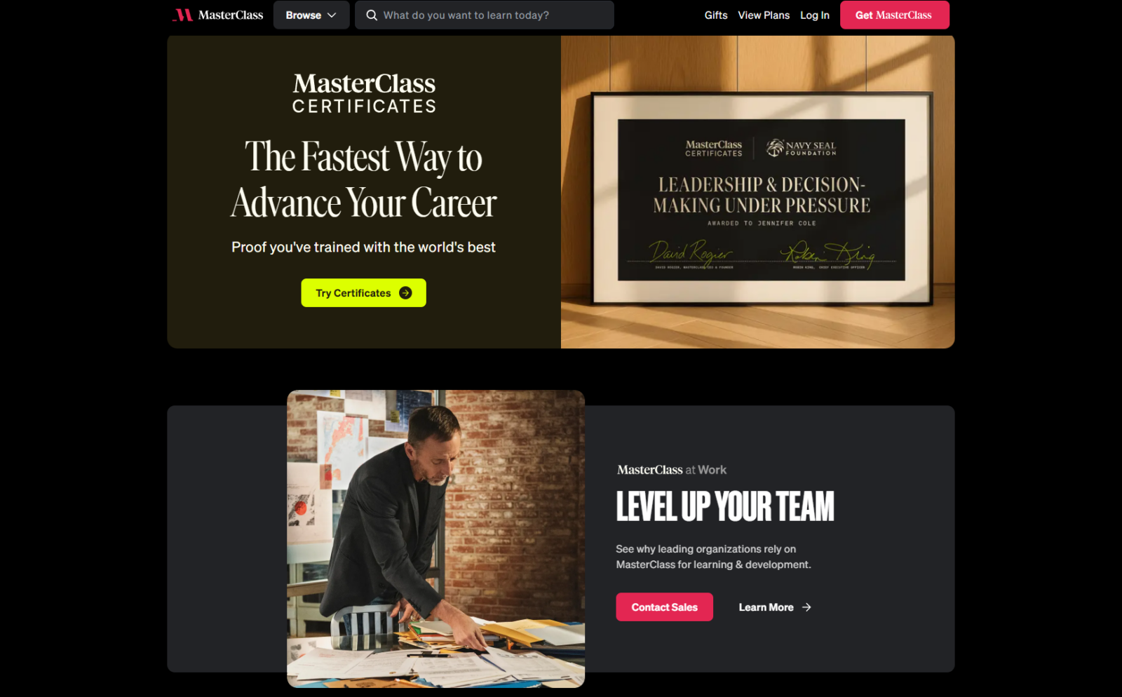 Who Should Choose MasterClass?